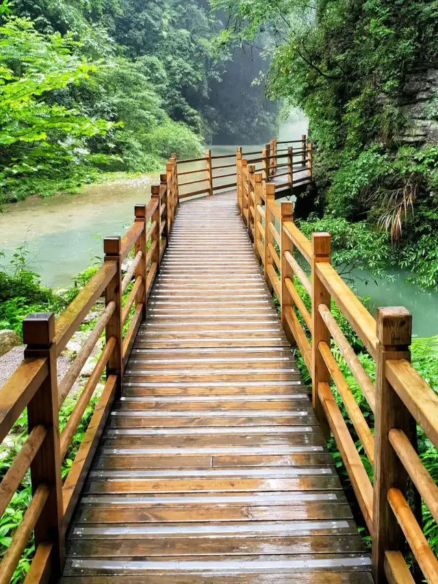 6일간의 장사-소산-장가계 여행, 이 글 하나면 충분! 놓치지 마세요