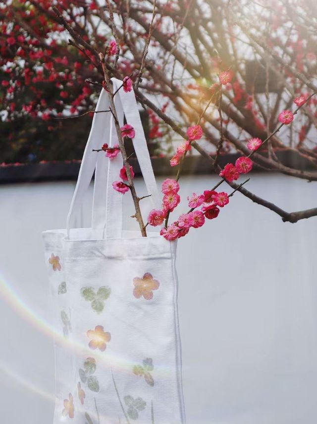 梅香湖景之約