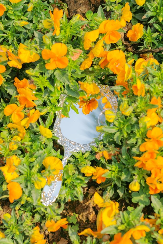 春天的影像詩｜不需要濾鏡的長沙花海