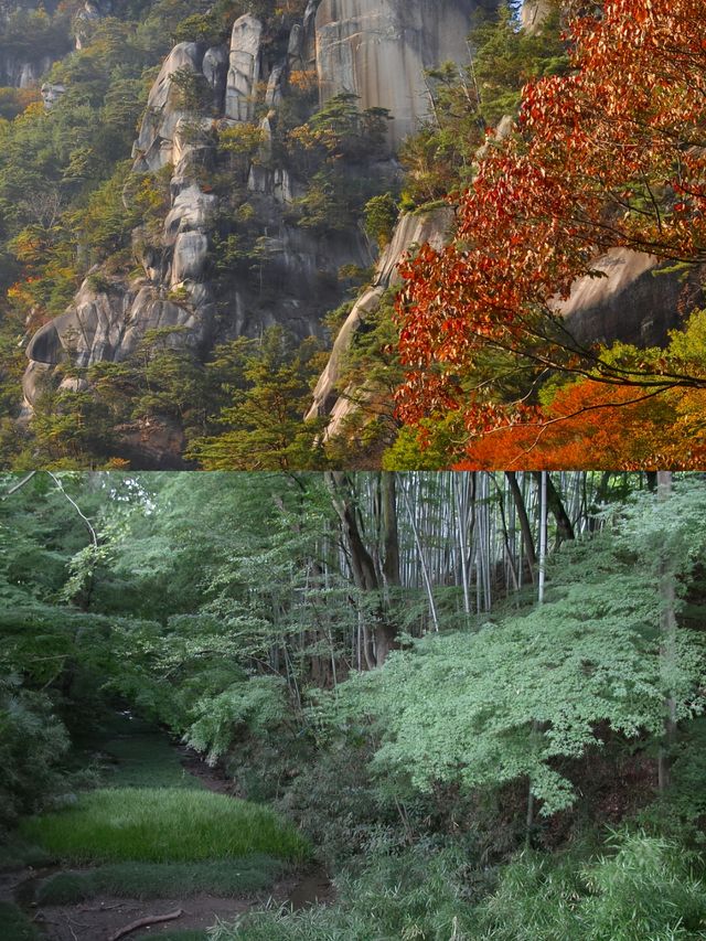 日本甲府市 | 小眾又迷人的寶藏景點大揭秘