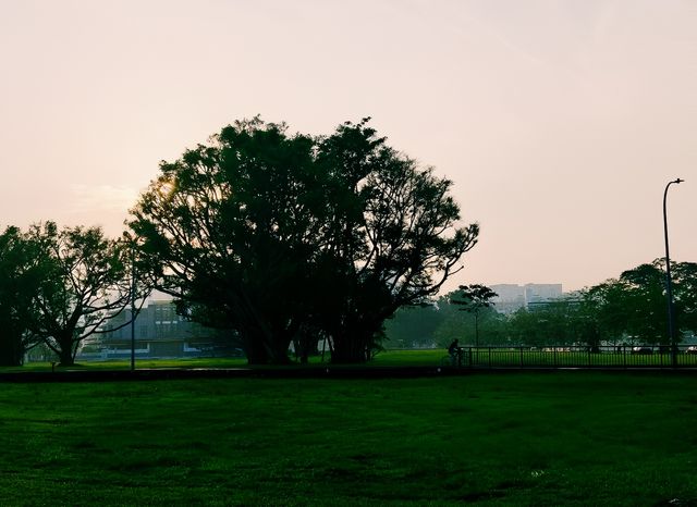 探索大阪的堺市大仙公園
