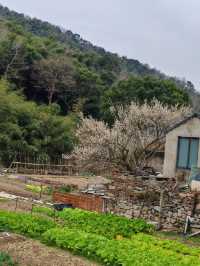 寧波3日深度遊 輕鬆玩轉不踩雷