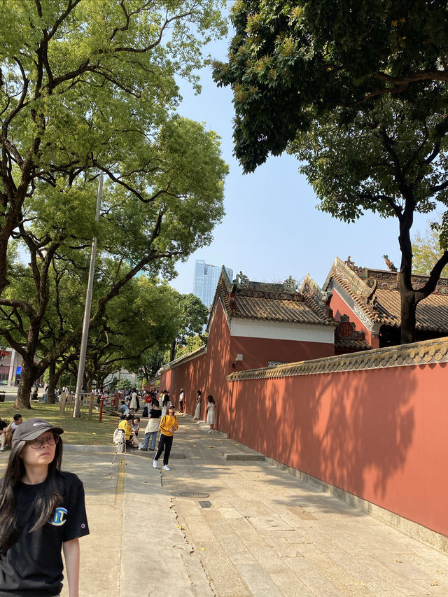 廣州農講所賞木棉花之旅