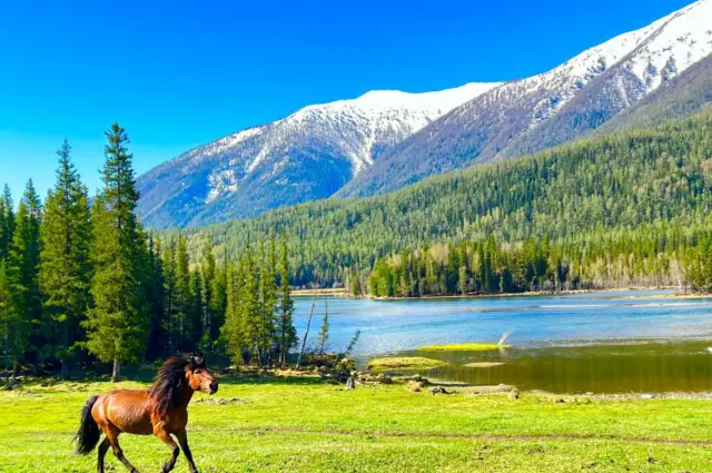 Xinjiang | My Altay | Kanas Lake