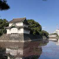 東京一日攻略：從皇居古韻到澀谷霓虹
