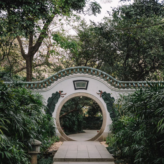 鬧市桃源！廣州蘭圃小眾公園，邂逅滿屏蔥鬱🌿🌱🍃🎋