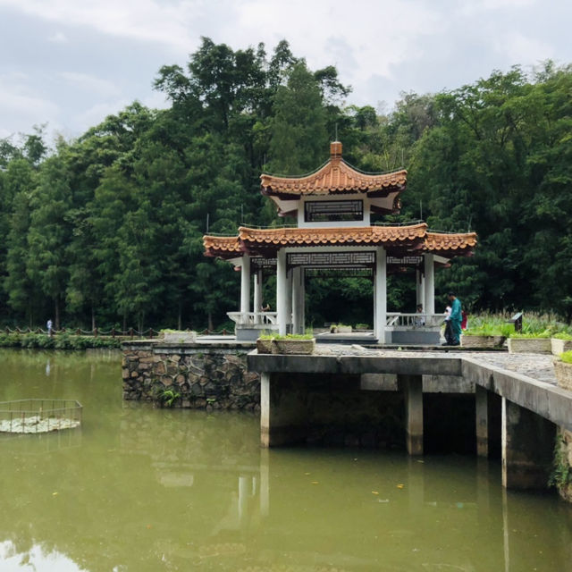 深圳東部一日游，解鎖博物館、公園、植物園！