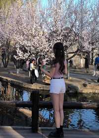 三里河公園！明年我一定會再來！