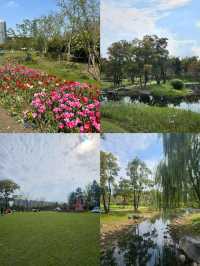 太倉市民公園｜太倉免費寶藏地
