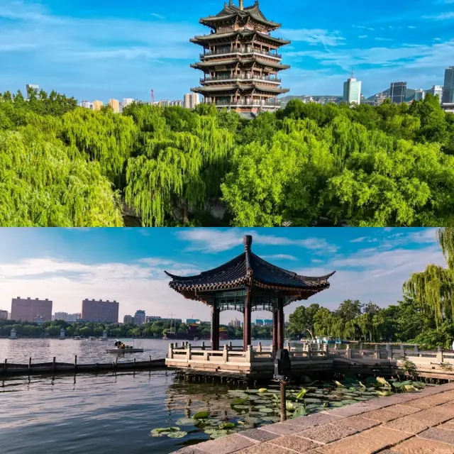 大明湖好靚，但伏位都好多㗎 ·