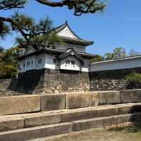 🌸穿越時光的大阪城公園之旅，超詳細攻略奉上