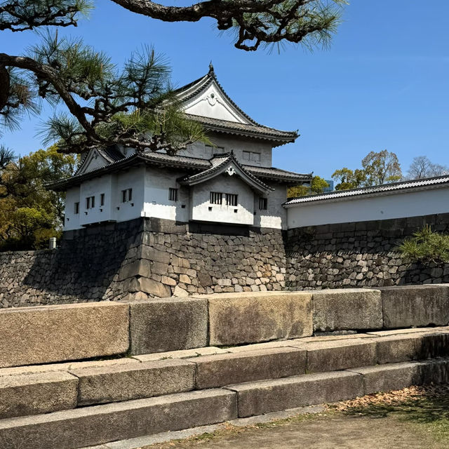 🌸穿越時光的大阪城公園之旅，超詳細攻略奉上