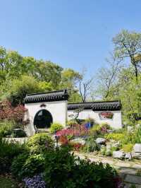 共青森林公園｜自然景觀＆休閒娛樂