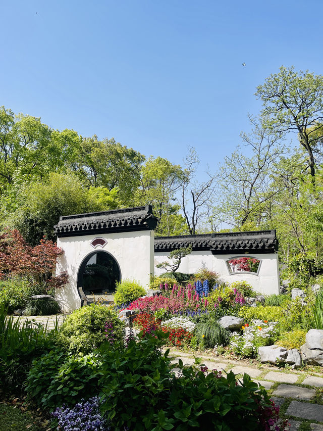共青森林公園｜自然景觀＆休閒娛樂