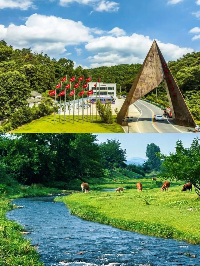 五一假期出遊！信陽山水茶香之旅全攻略！