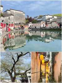 剛從宏村回來，不知當講不當講