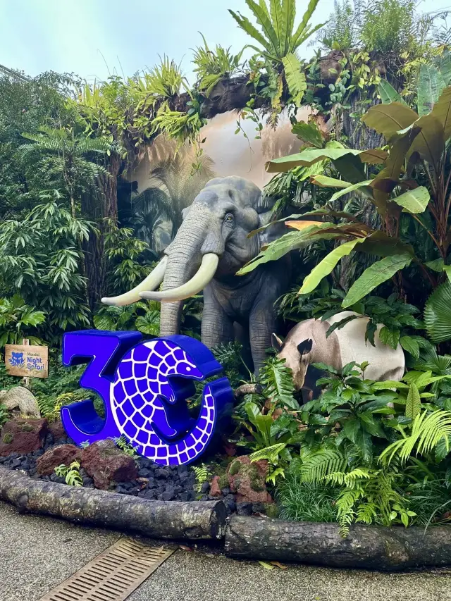 夜晚探險,動物王國