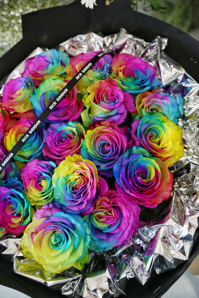 520倒數計時！帶毛孩看看寧波嘅花花世界！