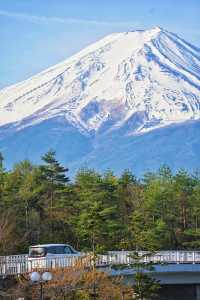 唔想人逼人，呢啲機位一樣可以影到富士山嘅人生照片