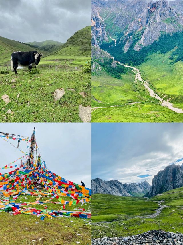 甘南｜躺着看銀河，住進神山，解鎖最頂級玩法