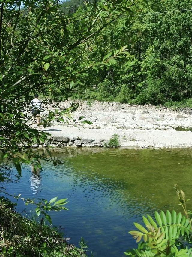 逃離城市！夏天去呢度露營，仲爽過喺冷氣房