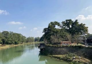 Millennial Banyan Trees and a Tranquil Ancient Town