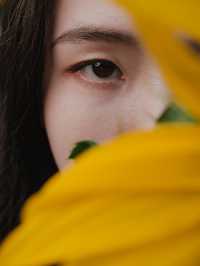 一秒走進梵高畫框！🌻西麗湖向日葵花海拍大片攻略來啦～