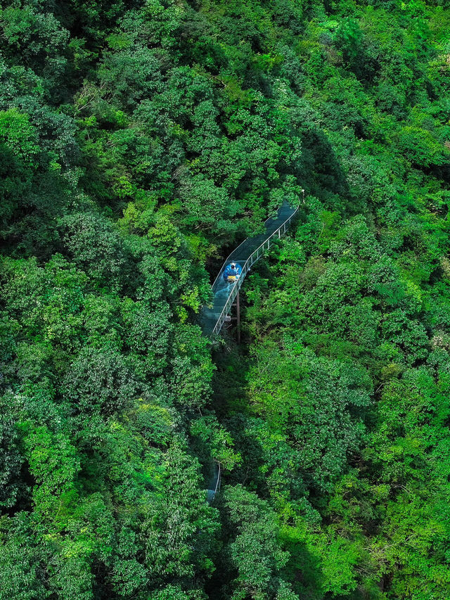 夏日激流天花板！杭州周邊避暑玩水聖地🏞️