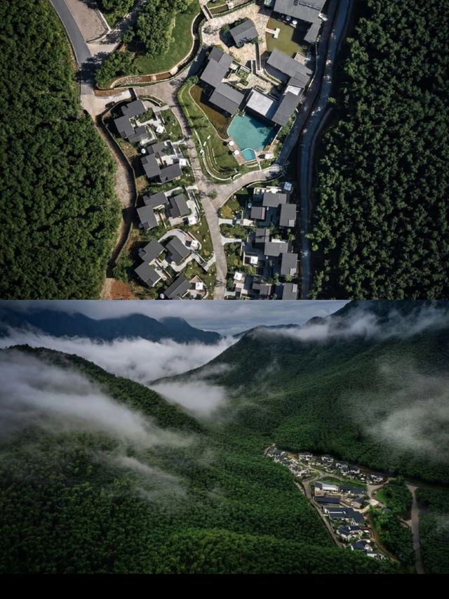 安吉！山野小院，與大自然來一次親密接觸