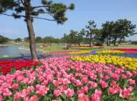 花海騎遊·與鯊共舞：探索福岡海之中道