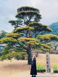 仙岩園端午旅遊攻略：感受歷史與自然嘅完美結合✨