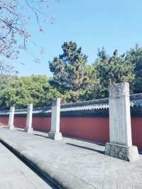 海寧觀潮勝地公園遊玩攻略