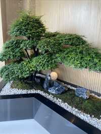 宜尚酒店白雲站店，專注於服務同衛生嘅酒店
