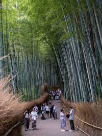 大阪出發，京都奈良一日遊跟團攻略
