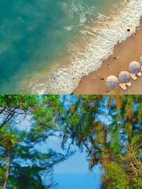 未去過潿洲島？呢份攻略請收好