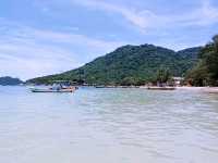 Dive, Hike, Party: Backpacking Koh Tao Like a Pro
