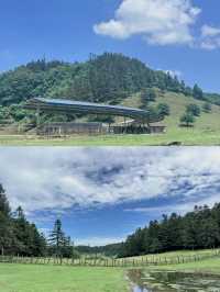 雲端漫步：仙女山嘅心靈之旅