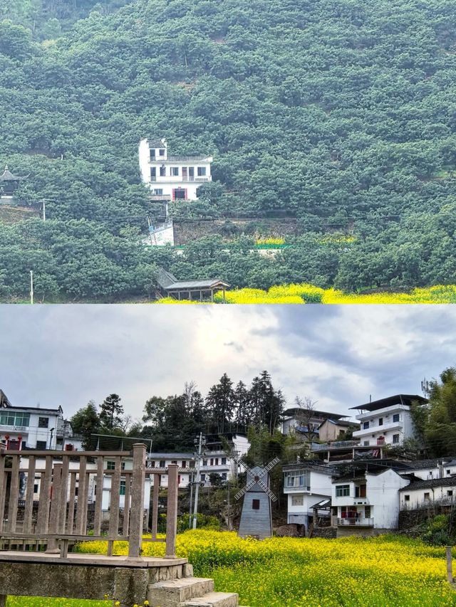 黄山腳下嘅水墨畫——江山水畫廊