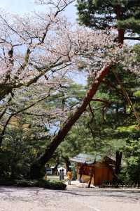 別只識富士山！日本富山先係寶藏地