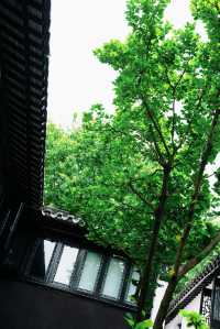 搬入平江路百年老宅，先算真正住過蘇州！