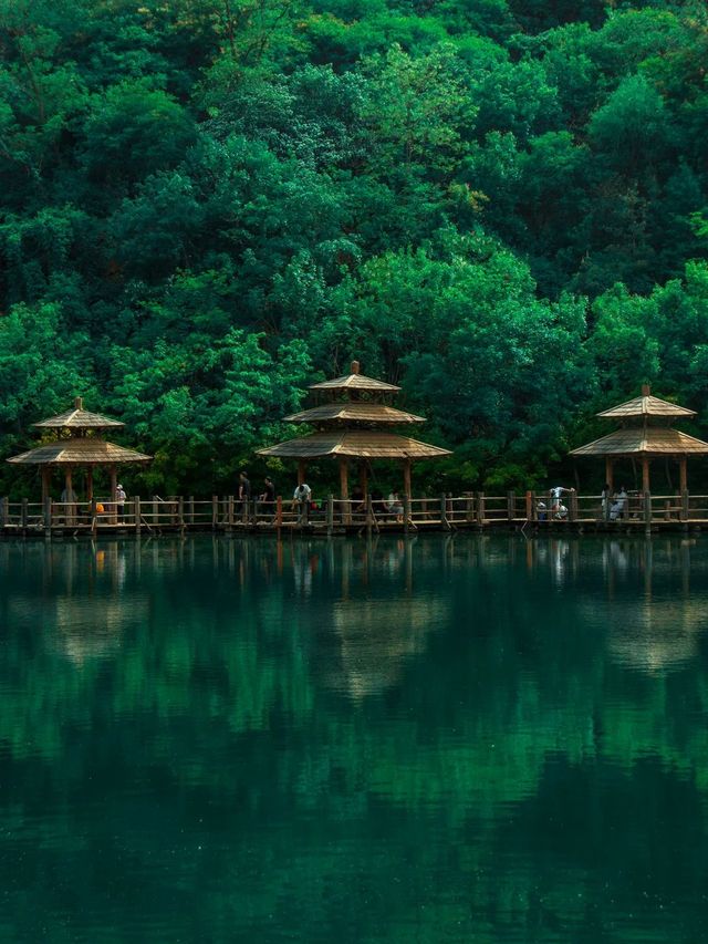九如山保姆級路線，呢個先係夏天正確打開方式