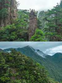 莽山森林公園 | 爬山漂流影相全攻略