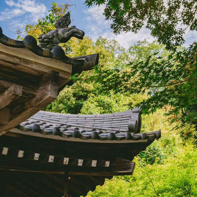 大阪隱藏版寶藏地✨箕面公園：瀑布、古寺與森林的完美邂逅