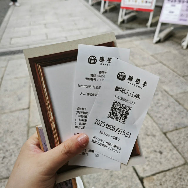 大阪小眾秘境！勝尾寺超詳細打卡攻略✨ 