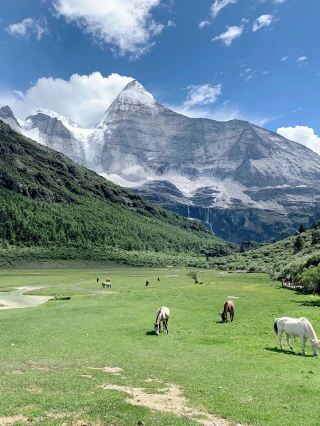 6.22 Daocheng Yading Current Situation: Live Personal Experience Straight from the Source