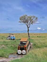 Tanzania Diaries: Where Wild Dreams Come True! 🌍✨