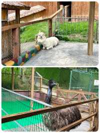 深圳世界之窗丨遛娃聖地丨成年人的夢幻樂園