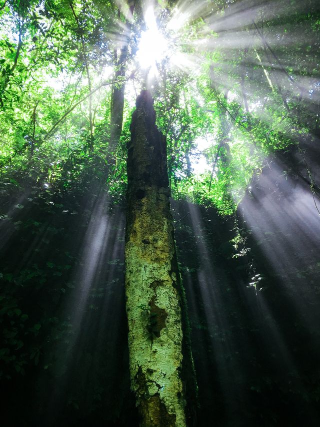 一人嚟講一個私藏嘅貴州徒步聖地！呢度必去