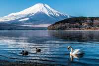 富士山河口湖小眾玩法 水上路線公開！