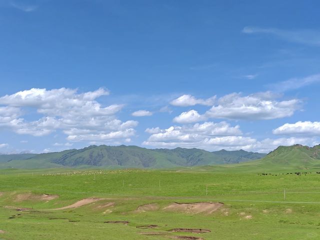 甘南-美麗嘅遠方（甘南攻略）
